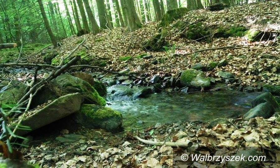 REGION, Głuszyca: GP Głuszyca z plecakiem i na rowerze