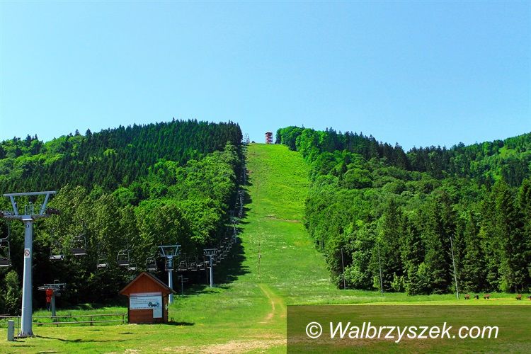 REGION, Bogusżów-Gorce: Pierwszy Zlot Hufca Ziemi Wałbrzyskiej w Boguszowie