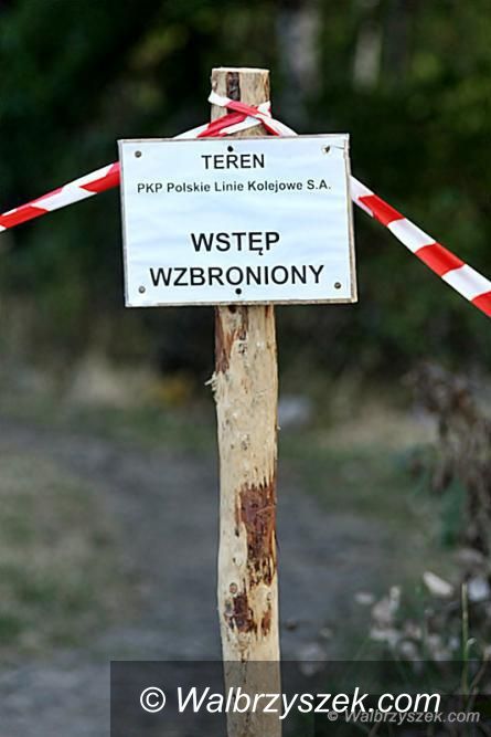 Wałbrzych: Poszukiwania „złotego pociągu” odroczone