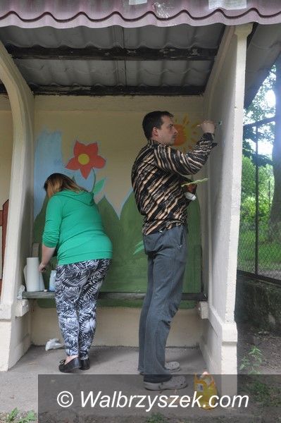 REGION, Stare Bogaczowice: Przystanek jak nowy