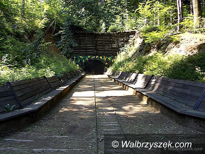 REGION, Jugowice: Piknik Militarny RIESE