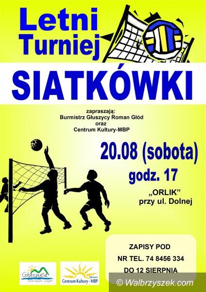 Głuszyca: Letni turniej siatkówki