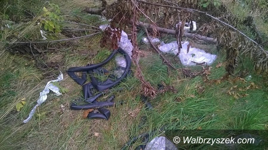 REGION, Szczawno-Zdrój: Temat odpadów znów powraca