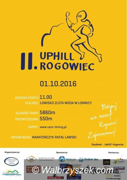 Wałbrzych/REGION: Wałbrzych zaprasza – imprezy dla każdego