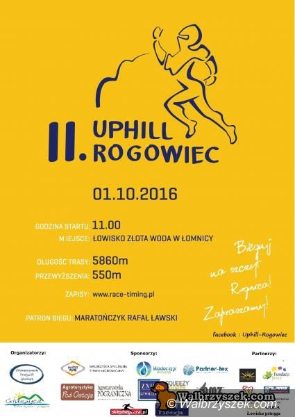 Wałbrzych/REGION: Wałbrzych zaprasza – imprezy dla każdego