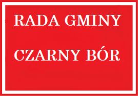 REGION, Czarny Bór: Za nami wybory uzupełniające w gminie Czarny Bór