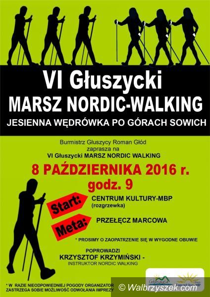 Głuszyca: Przed nami VI Głuszycki Marsz Nordic–Walking