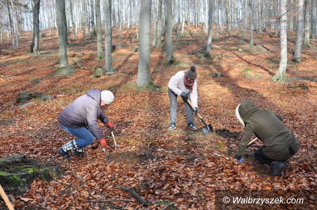 REGION, Stare Bogaczowice: Będzie rajd