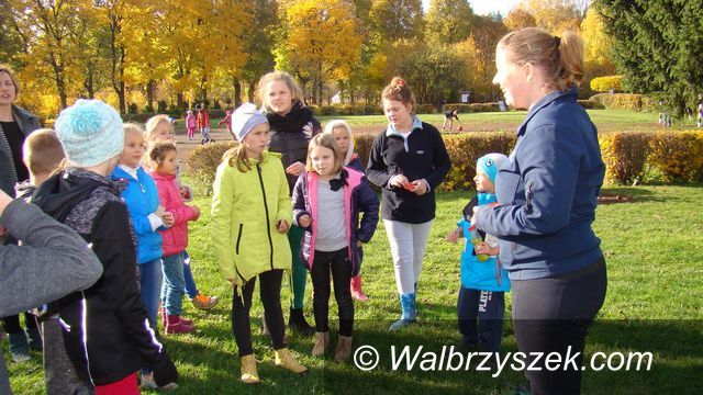 REGION, Sokołowsko: Pierwsze hotele dla owadów