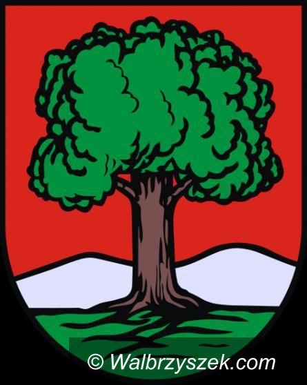 Wałbrzych/REGION: Liczba mieszkańców Wałbrzycha maleje