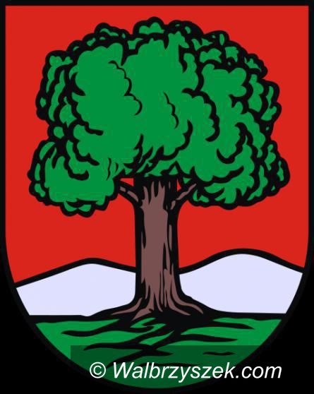 Wałbrzych: Będą rywalizować wałbrzyscy diagności
