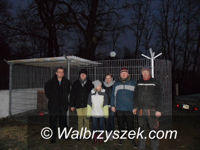 Wałbrzych: Kolejny pies uratowany