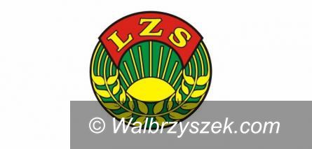 powiat wałbrzyski: Przyznali 10 tysięcy złotych LZS–owi