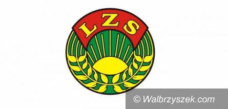 powiat wałbrzyski: Przyznali 10 tysięcy złotych LZS–owi