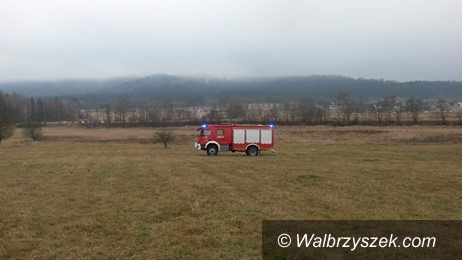 REGION, Boguszów-Gorce: Strażacy z Boguszowa wydobyli psy ze studni