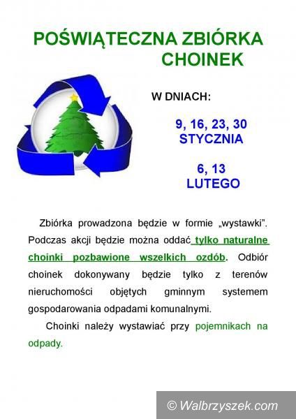 Wałbrzych: Możesz oddać choinkę