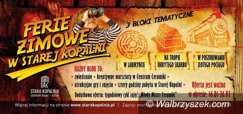 Wałbrzych/REGION: Bogata oferta na ferie