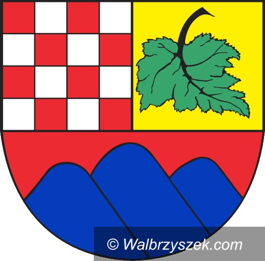 REGION, Boguszów-Gorce: W Boguszowie–Gorcach straż miejska sprawdzi, czym palą w piecach mieszkańcy