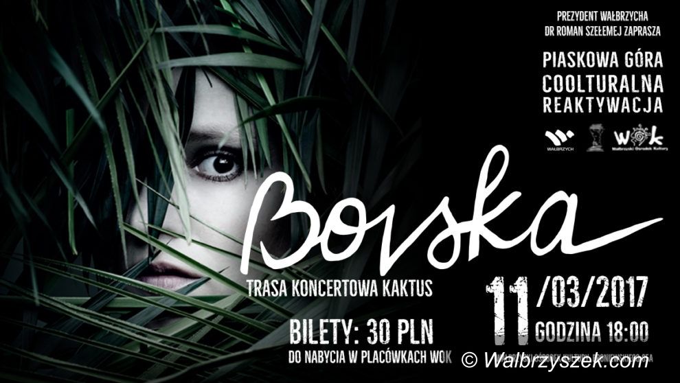 Wałbrzych: WOK na Piaskowej Górze powraca