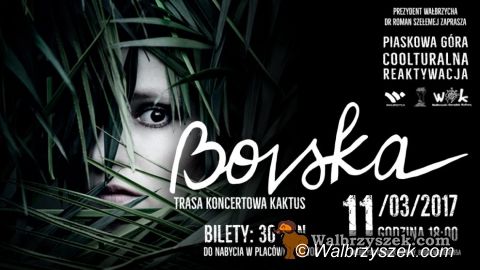 Wałbrzych/REGION: Koncertowy weekend