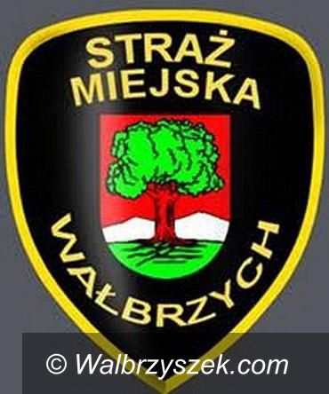 Wałbrzych: Ogień spod maski silnika