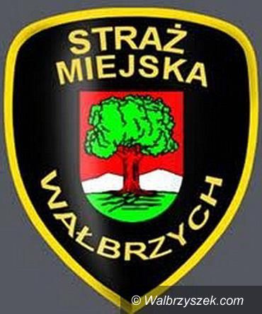 Wałbrzych: Ogień spod maski silnika