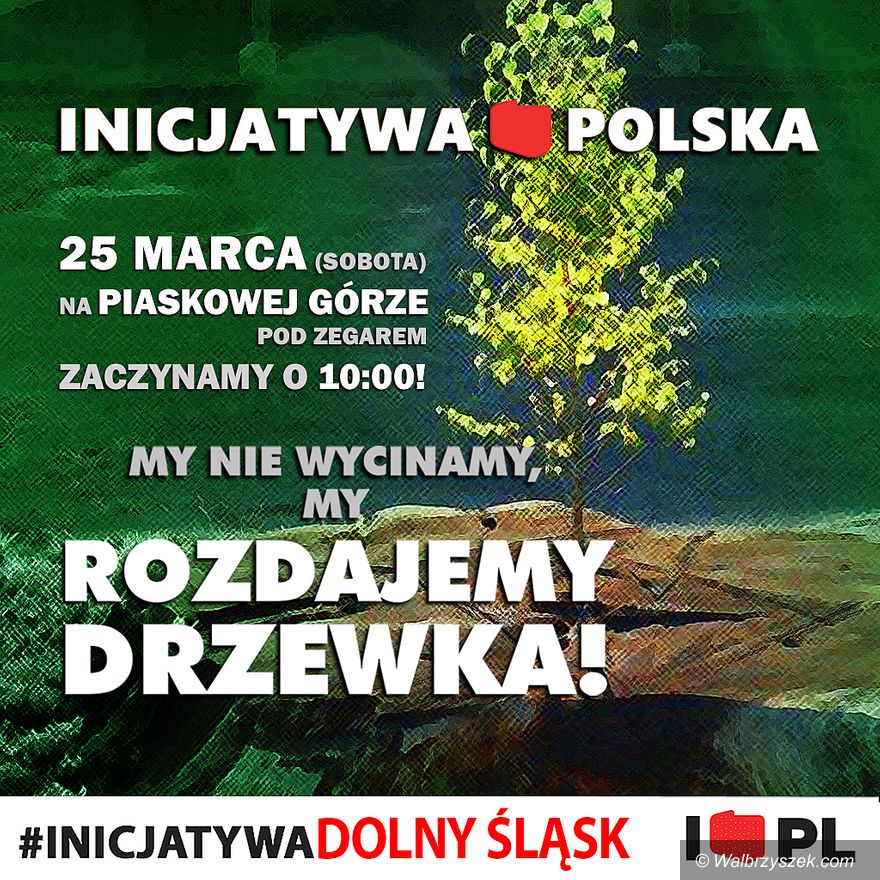 Wałbrzych: Lepiej sadzić niż wycinać