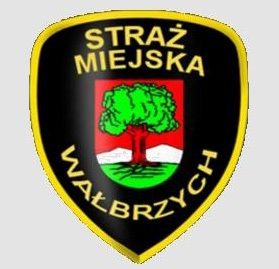 Wałbrzych: Uratowali życie borsukowi