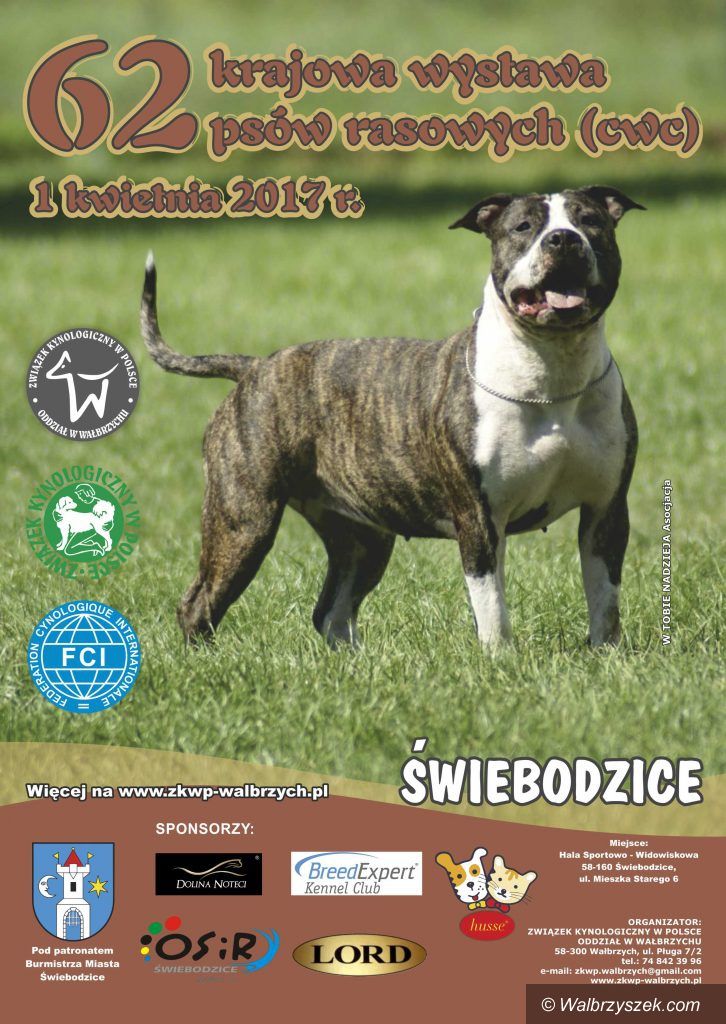 REGION, Świebodzice: Przed nami kolejna wystawa psów