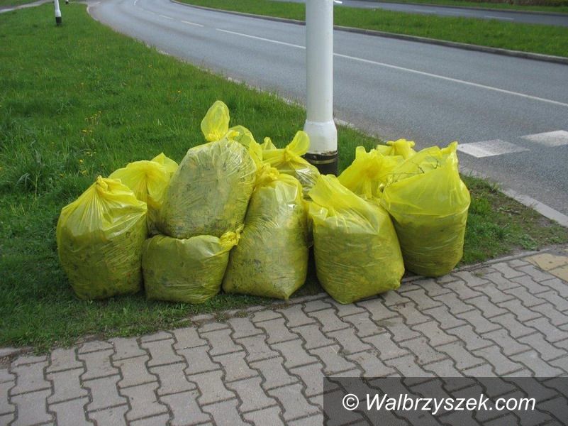 Wałbrzych: Posprzątali tereny rekreacyjne