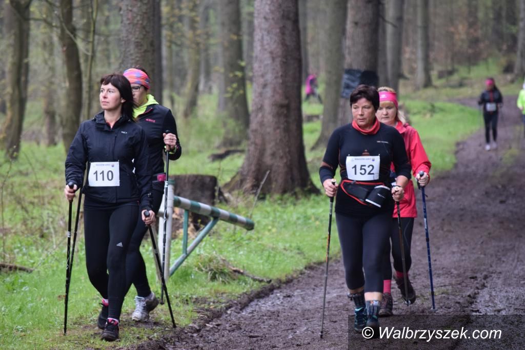 Boguszów-Gorce: Za nami NorDZIK Walking 2017