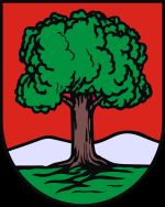 Wałbrzych: Przyznał pieniądze na turystykę i krajoznawstwo