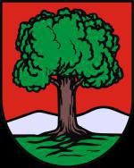 Wałbrzych: Prezydent powołał Radę Programową