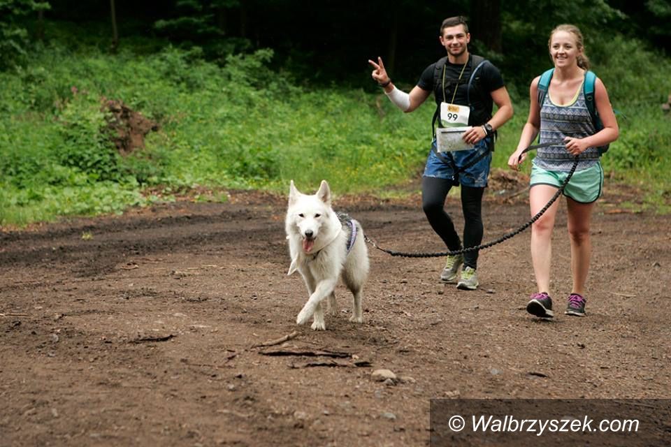 REGION, Szczawno-Zdrój: Puchar Polski w Dogtrekkingu po raz pierwszy w Szczawnie – Zdroju