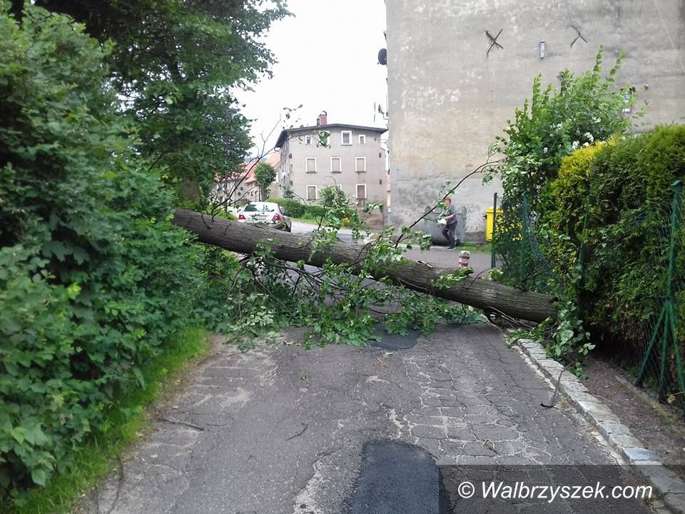 Wałbrzych/REGION: Wichury dały znać o sobie