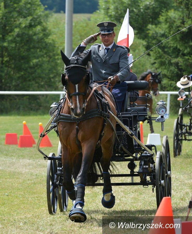 REGION: Kwiatek w szczycie formy