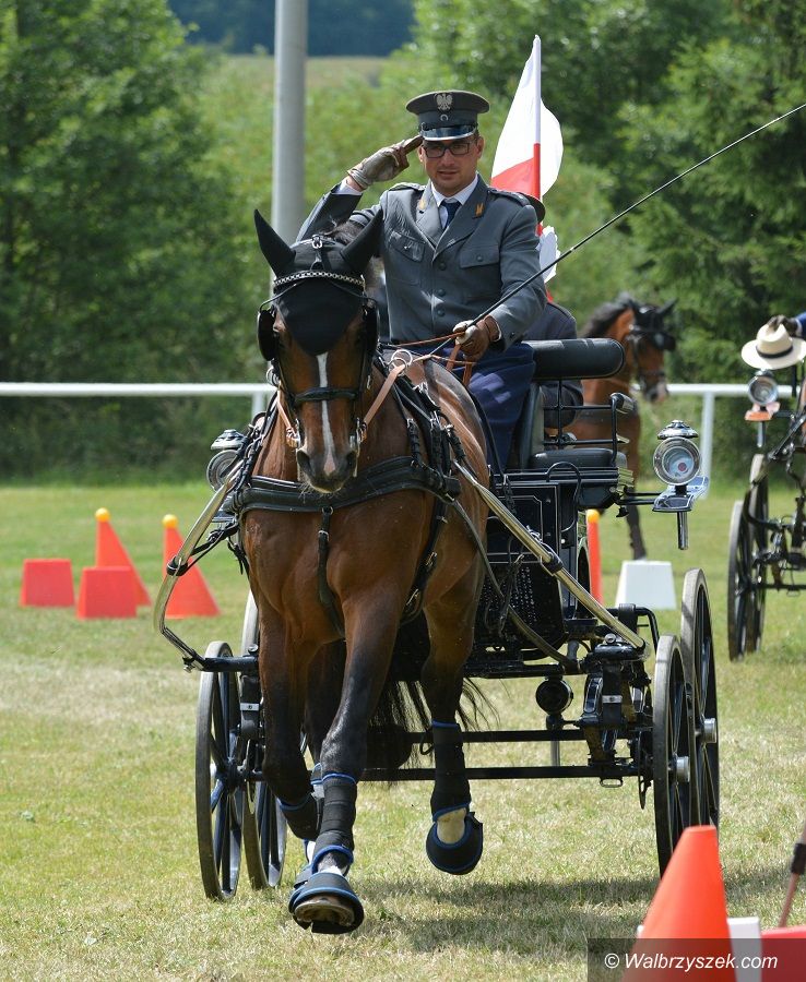 REGION: Kwiatek w szczycie formy