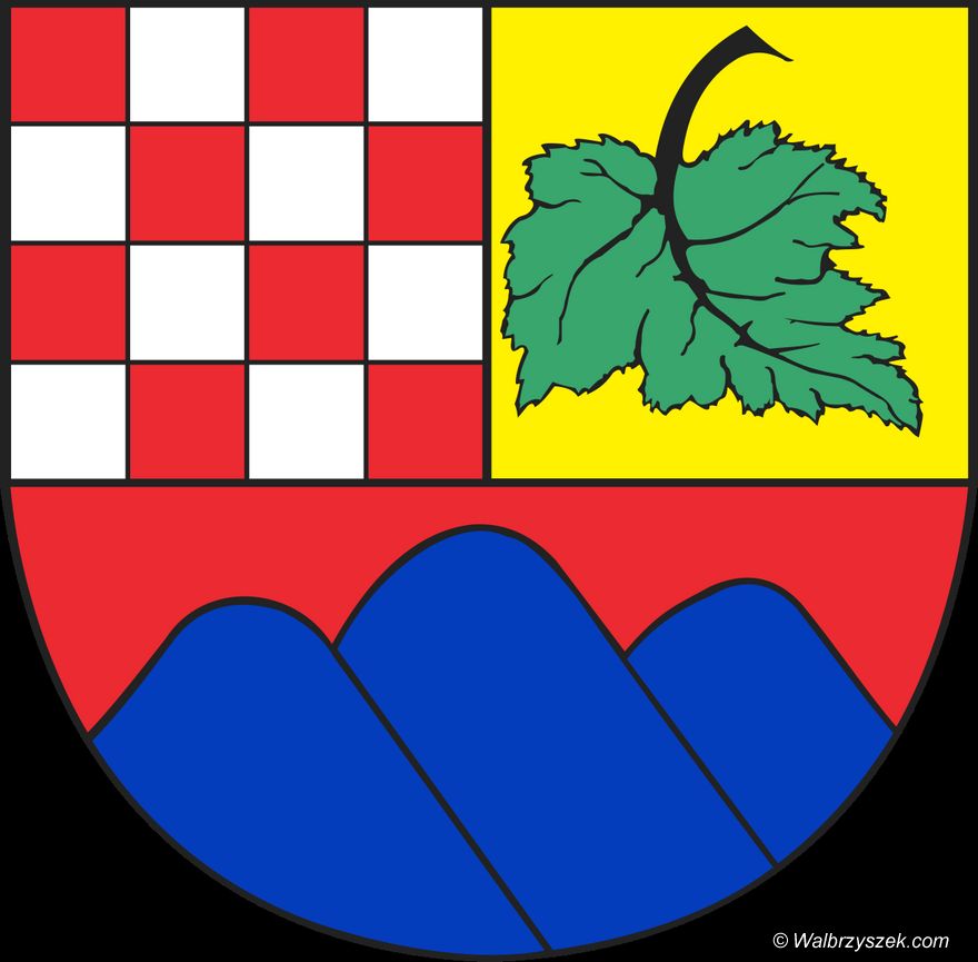REGION, Boguszów-Gorce: Dramatyczny apel kibiców Górnika Gorce