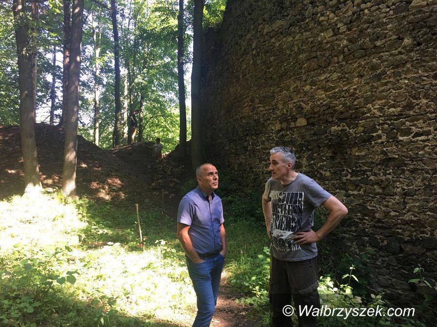 REGION, Stare Bogaczowice: Badania na Zamku Cisy