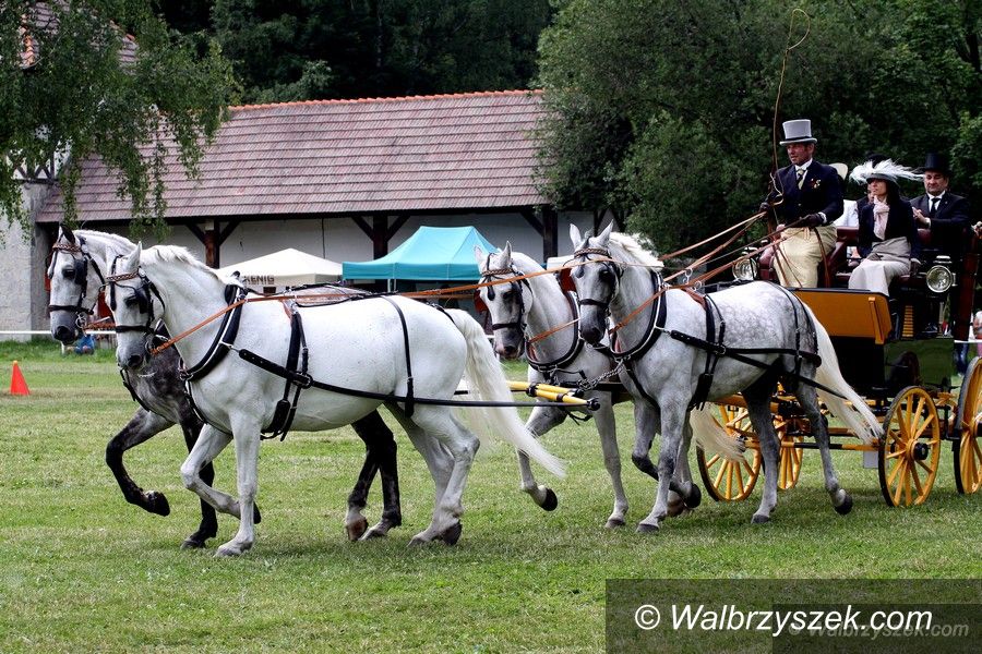 Wałbrzych: Konkurs Tradycyjnego Powożenia w Książu