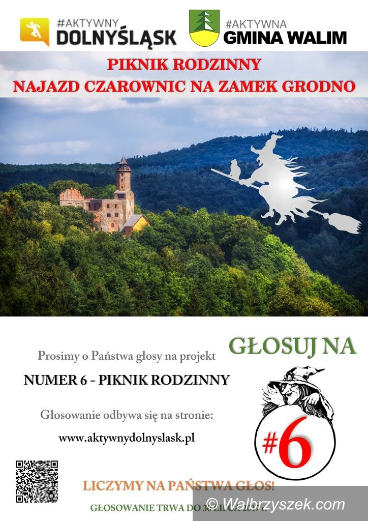 REGION, Zagórze Śl.: Oddaj głos na piknik rodzinny na Zamku Grodno