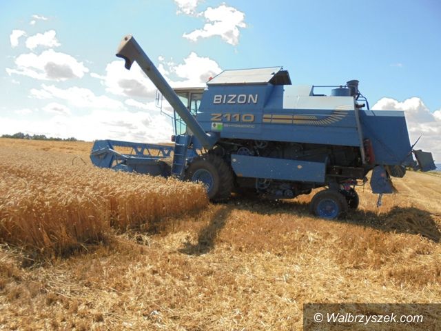 REGION: Żniwa mogą być bezpieczne