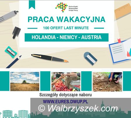 REGION: Wakacyjne oferty pracy last minute