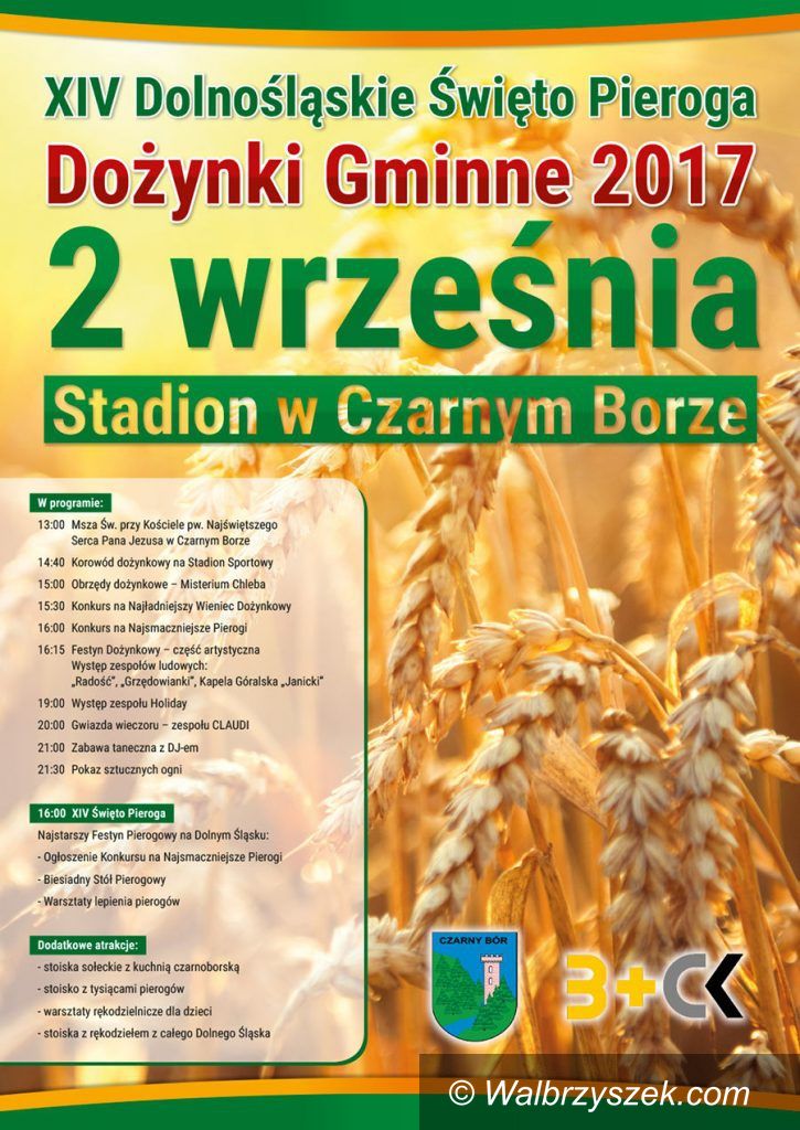 REGION, Czarny Bór: Dożynki tuż, tuż...