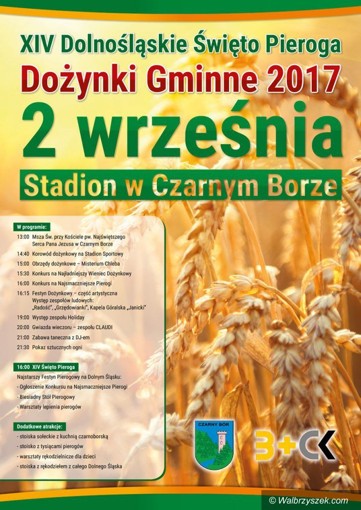 REGION, Czarny Bór: Dożynki tuż, tuż...