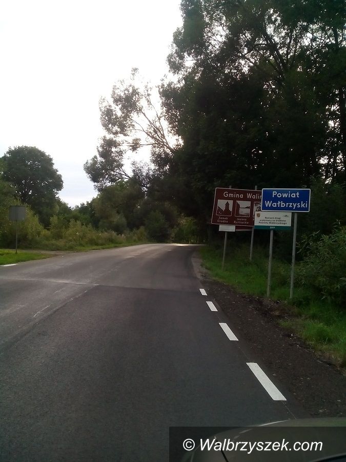 REGION, Zagórze Śl.: Niebezpieczne drzewo