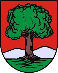 Wałbrzych: Wałbrzych pomaga gminie Brusy