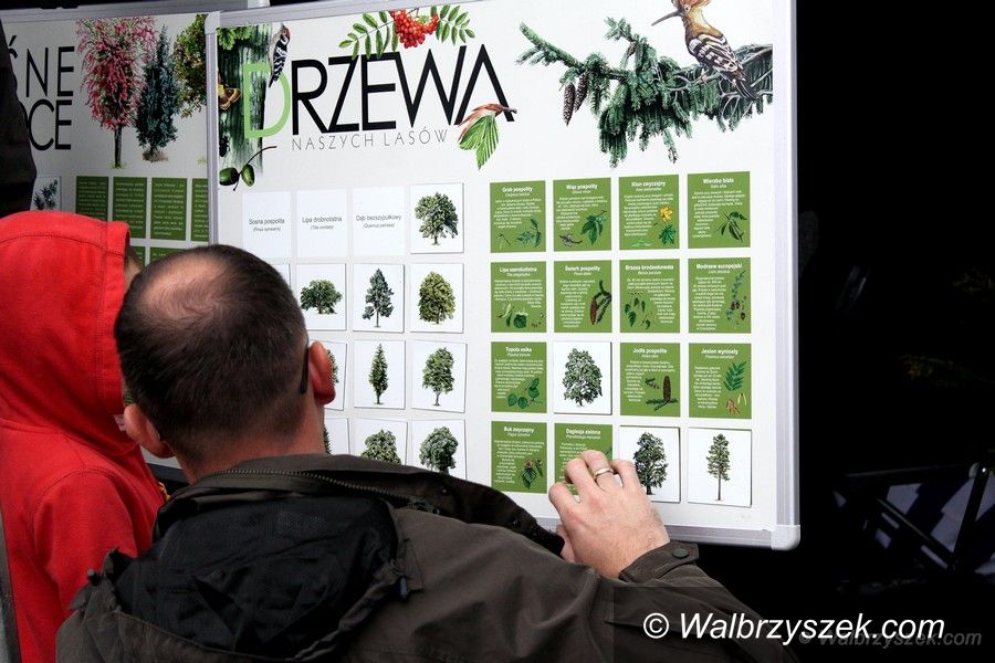 REGION, Szczawno-Zdrój: 3 Piknik Rodzinny Pod Chełmcem