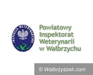 REGION: Powiatowy Inspektor Weterynarii ostrzega hodowców drobiu