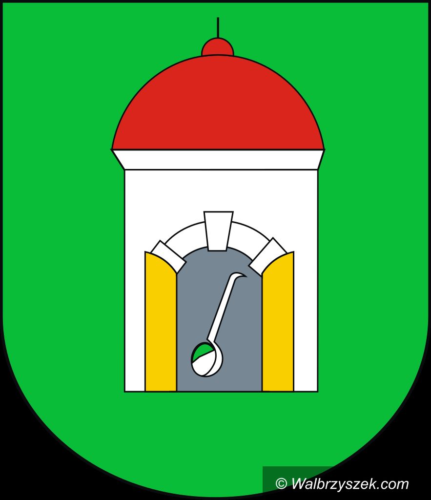 REGION, Szczawno-Zdrój: Janusz Kozłowicz przewodniczącym Rady Sportu w Szczawnie–Zdroju